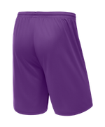 Шорты баскетбольные Camp Basic, фиолетовый, детский
