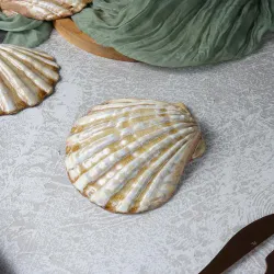 Блюдо для подачи 15*15 см h5,5 см 125 мл емкость для закусок Pearl Shell Frutti di Mare P.L. [1]