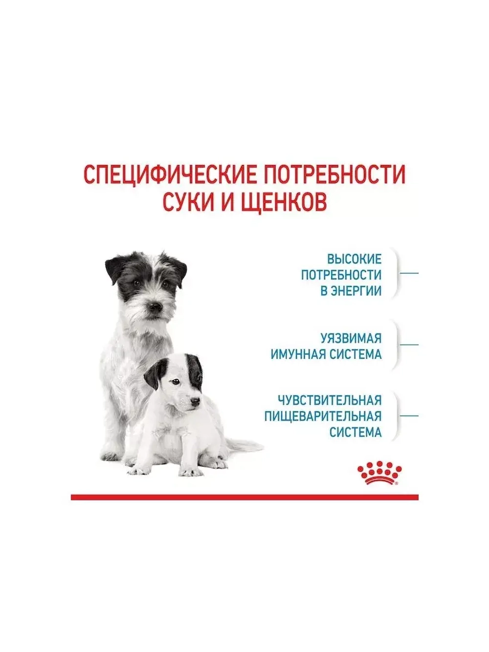 ROYAL CANIN Mini Starter Mother & Babydog (Роял Канин Мини Стартер Мазер Бэбидог) корм сухой для собак 20 кг.