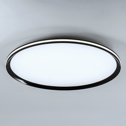 Потолочный cветильник LED4U L3020-600 BK
