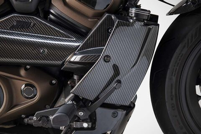 Zard Накладки радиатора + задняя боковая панель Harley Davidson Sportster S 1250 (2021+)