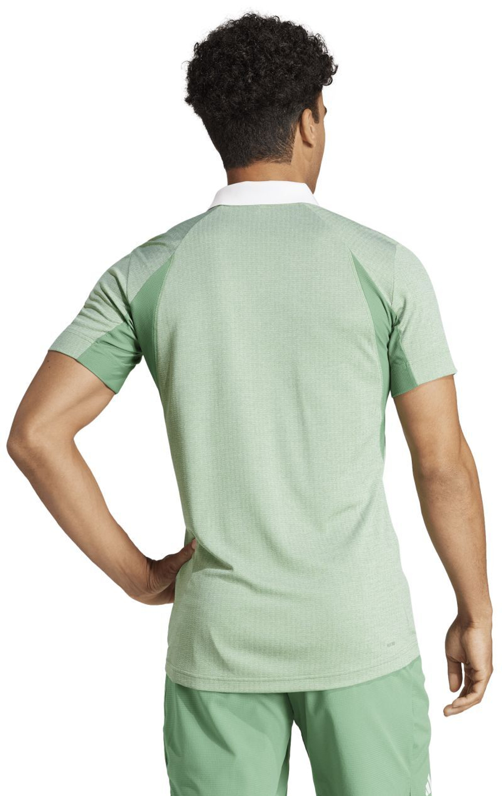 Мужское теннисное поло Adidas Club Tennis Freelift Polo Shirt - preloved green s24/white