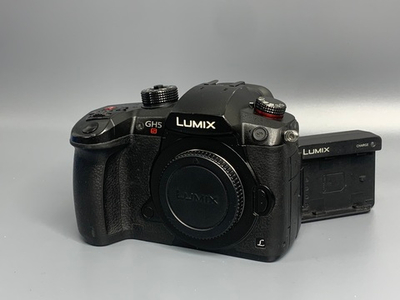 Panasonic Lumix GH5S 16.000 кадров