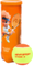 Мячи теннисные Neva Sport Orange (3 мяча в банке)