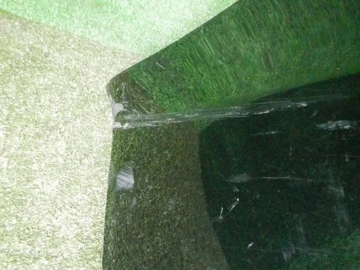 DSCN8019.jpg
