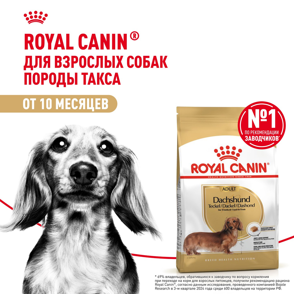 Royal Canin Dashshund Adult Такса Эдалт Корм сухой для взрослых собак породы Такса от 10 месяцев 1,5кг