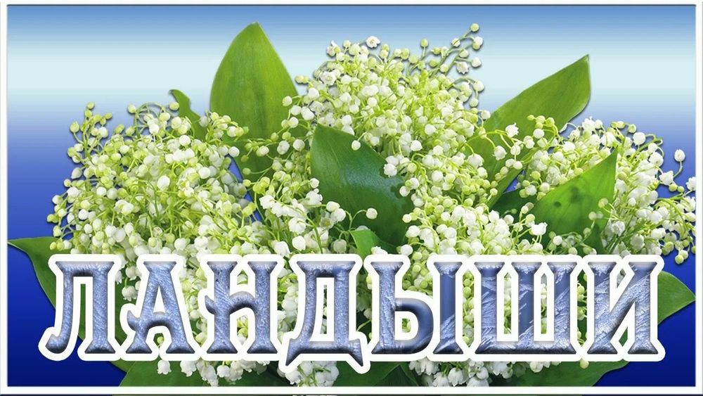 «Ландыши» «Ландыши»