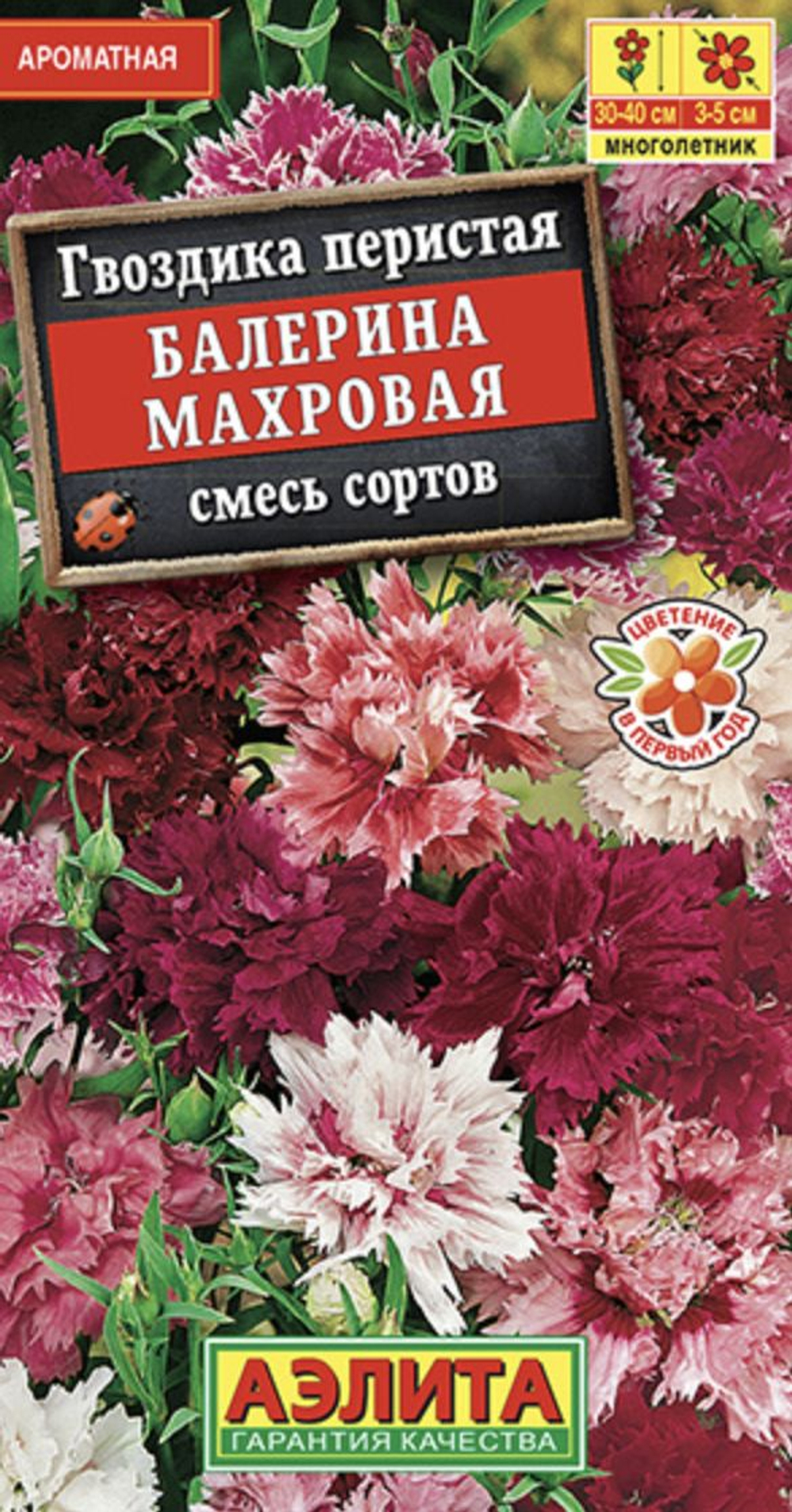 Гвоздика Балерина мах *10 АЭЛИТА 4601729000812 23.45