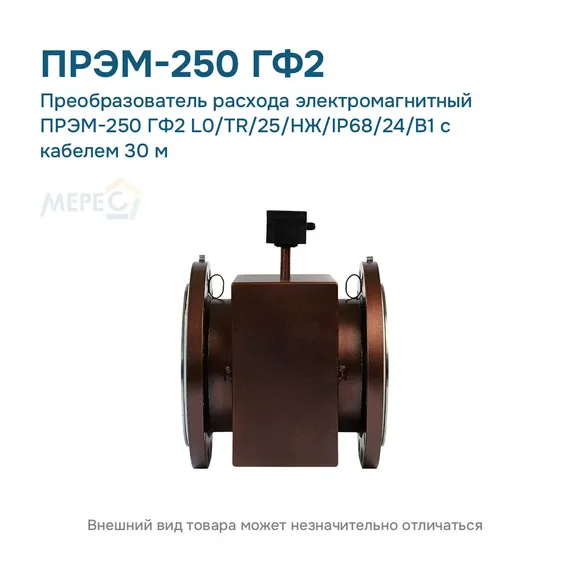 Преобразователь расхода электромагнитный ПРЭМ-250 ГФ2 L0/TR/25/НЖ/IP68/24/B1 с кабелем 30 м