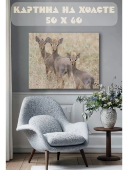 Картина на стену 40 X 50 Антилопы