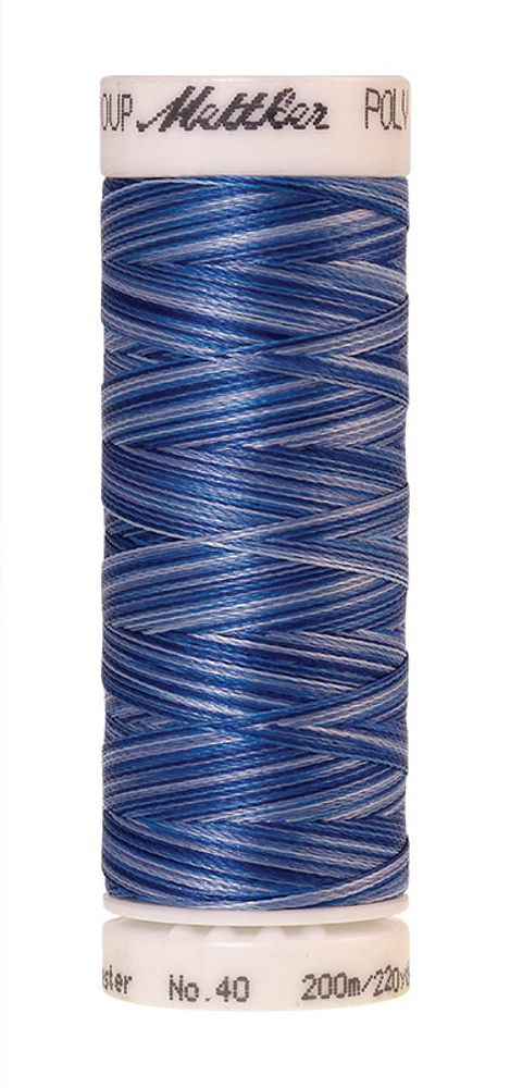 Нить вышивальная Mettler Poly Sheen Multi 40 (200 м), 5 кат. | цв. 9929