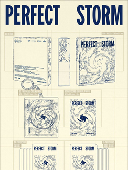 (ПРЕДЗАКАЗ) Альбом TXT - PERFECT STORM 9th Mini Album PHOTOCARD CASE 3 Version SET