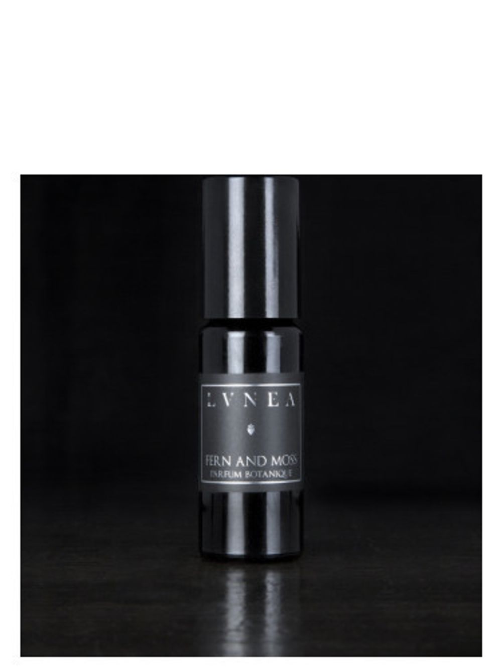 Lvnea Fern and Moss
