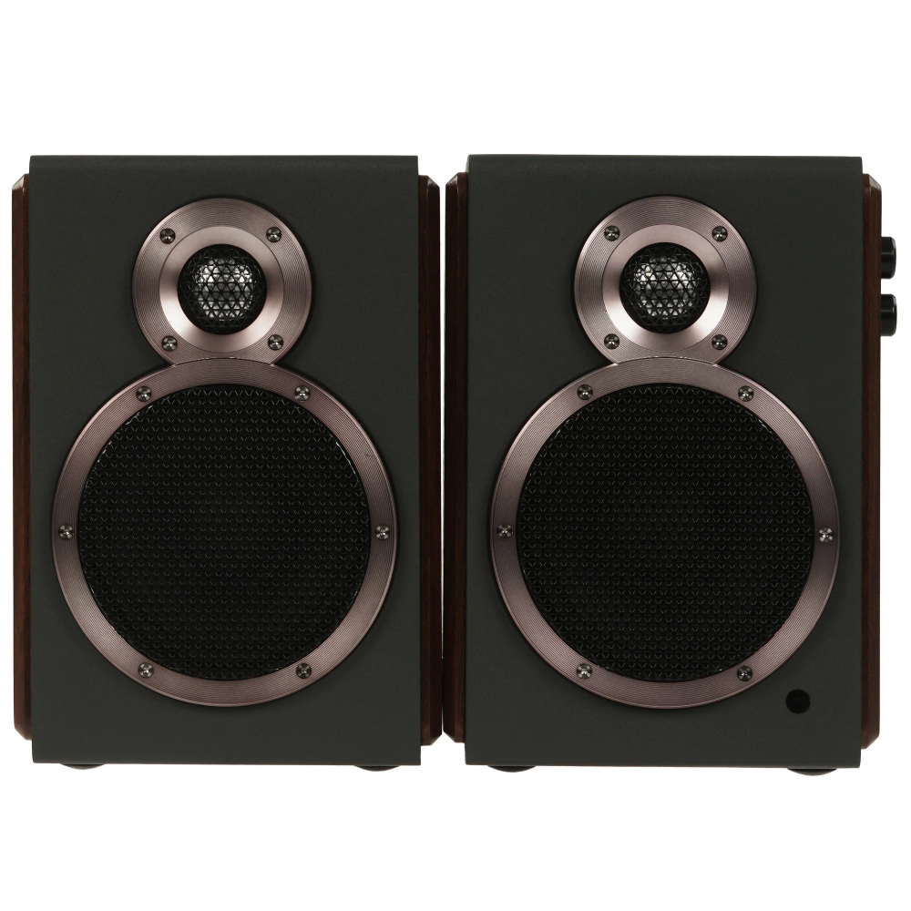 FiiO SA1 Черный [Black] — активная полочная акустическая система (пара)