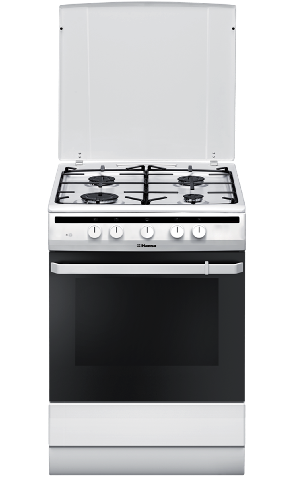 Газовая плита Hansa FCGW61000