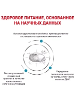 Royal Canin Anallergenic (Роял Канин Аналлердженик )корм сухой для собак Anallergenic 3 кг.