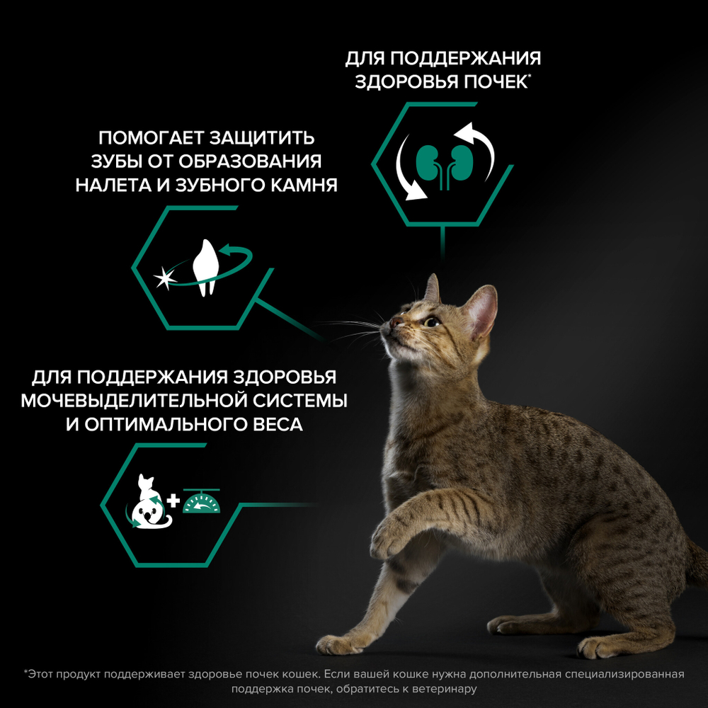 Сухой корм PRO PLAN Sterilised Adult RENAL PLUS для взрослых стерилизованных кошек индейка 10 кг