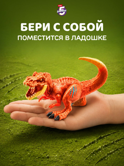 чачача