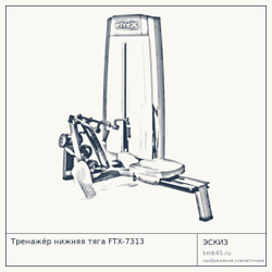 Тренажёр нижняя тяга FTX-7313 — от 204 000 ₽