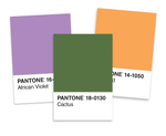 Pantone Postcard Box: 50 Postcards