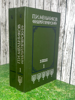 Книга "В лесах/В двух книгах/Книга первая и вторая"