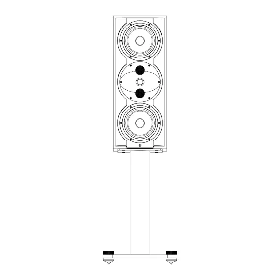 Perlisten Audio S5m Special Edition Cherry Hgh Goss