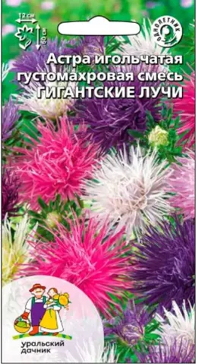 Семена Астра игольчатая Гигантские лучи (УД) Е/П