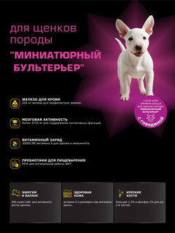 Quattro корм для щенков породы Миниатюрный бультерьер, с говядиной, 6 кг, QUATTRO