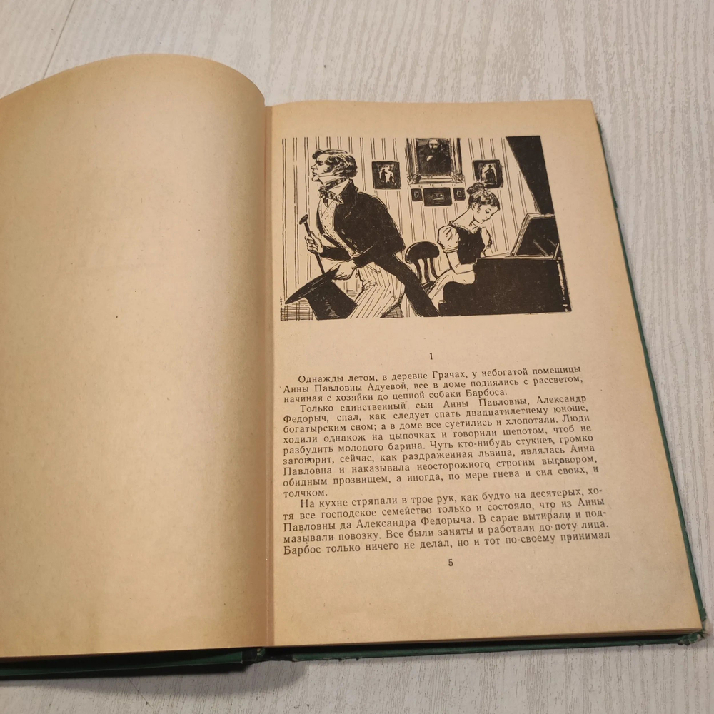Книга "Обыкновенная история"