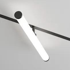 Трековый светильник SMART RAY | СМАРТ РЭЙ DK8065-BK Denkirs