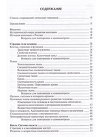 Анатомия человека