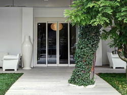 KAURI