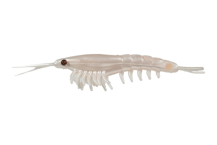 Приманка NIKKO Okiami Shrimp L 58мм #Pearl White