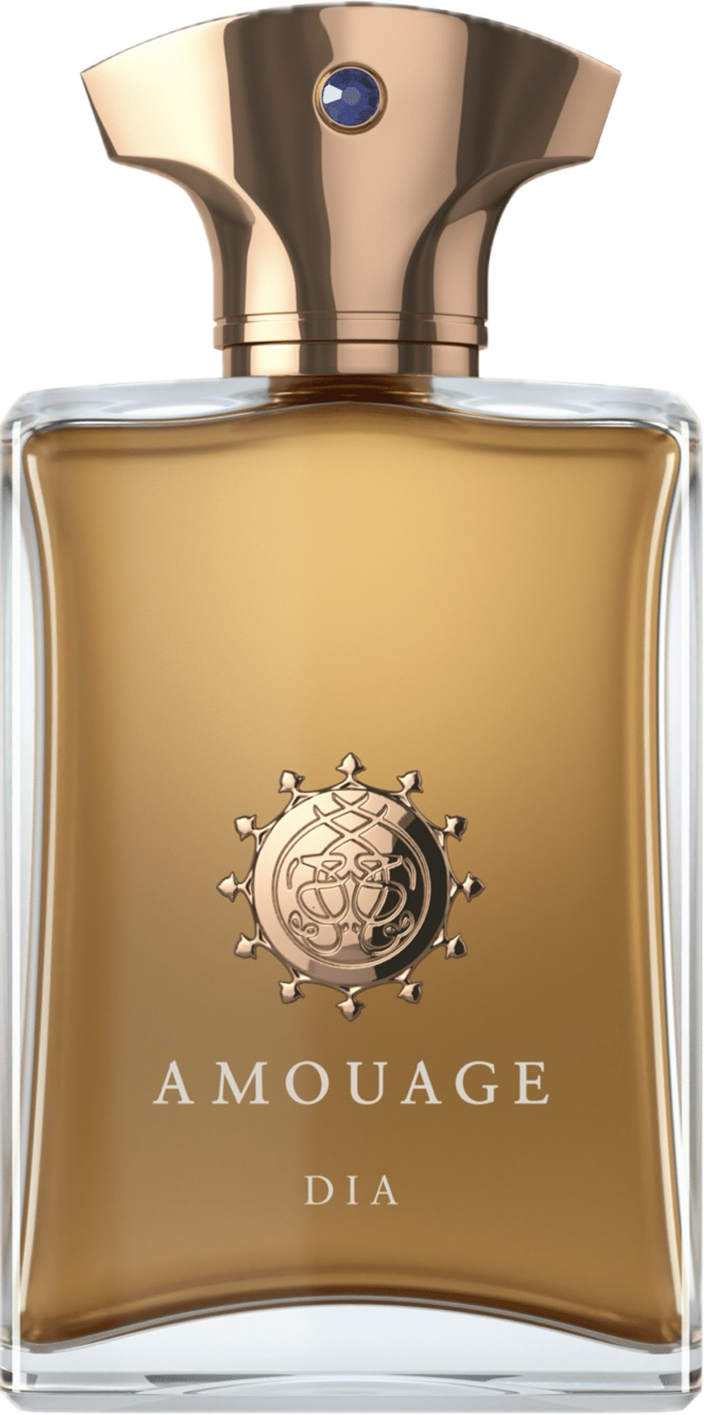 Amouage Dia Man Eau De Parfum 100 ml (man)