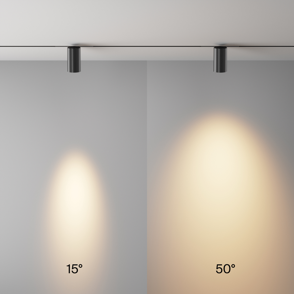 Трековый светодиодный светильник Maytoni Exility X Focus Led TR243-4-12WTW-DSZ-B