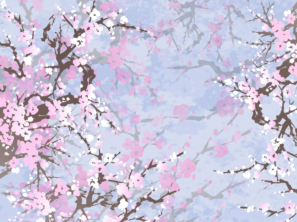 SAKURA 7