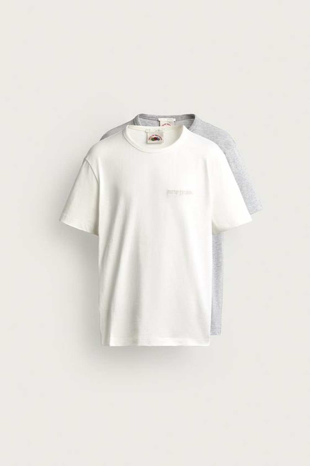 ZARA - FRUIT OF THE LOOM™ НАБОР ИЗ 2 ФУТБОЛКОК С ВЫШИВКОЙ, БЕЛЫЙ