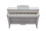 Pierre Cesar DP-500-H