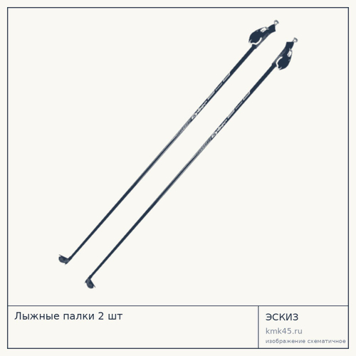 Лыжные палки 2 шт — от 1 300 ₽