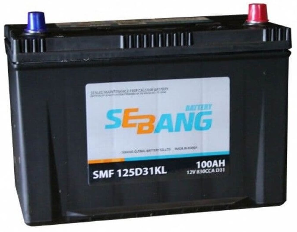 Sebang 6CT- 100 ( 125D31 ) аккумулятор