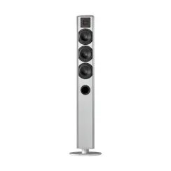 Piega Ace 50 Silver