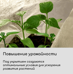 Материал укрывной, 5 × 1,6 м, плотность 60 г/м², с УФ-стабилизатором, белый