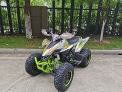 Квадроцикл YACOTA TYPHOON 250 бензин
