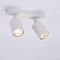 Спот Arte Lamp Aquarius A3226PL-2WH
