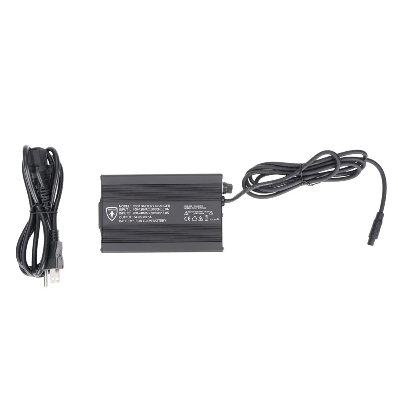 Зарядное устройство для моделей FT01/ FT02 Charge E 5A 48V (ПОД ЗАКАЗ)