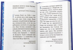 Рождественский цветник: карманный формат