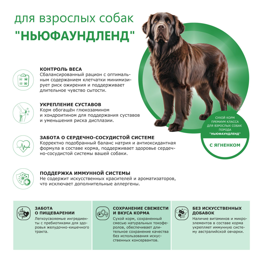 Корм сухой для взрослых собак породы Ньюфаундленд, с ягненком, 12 кг, QUATTRO