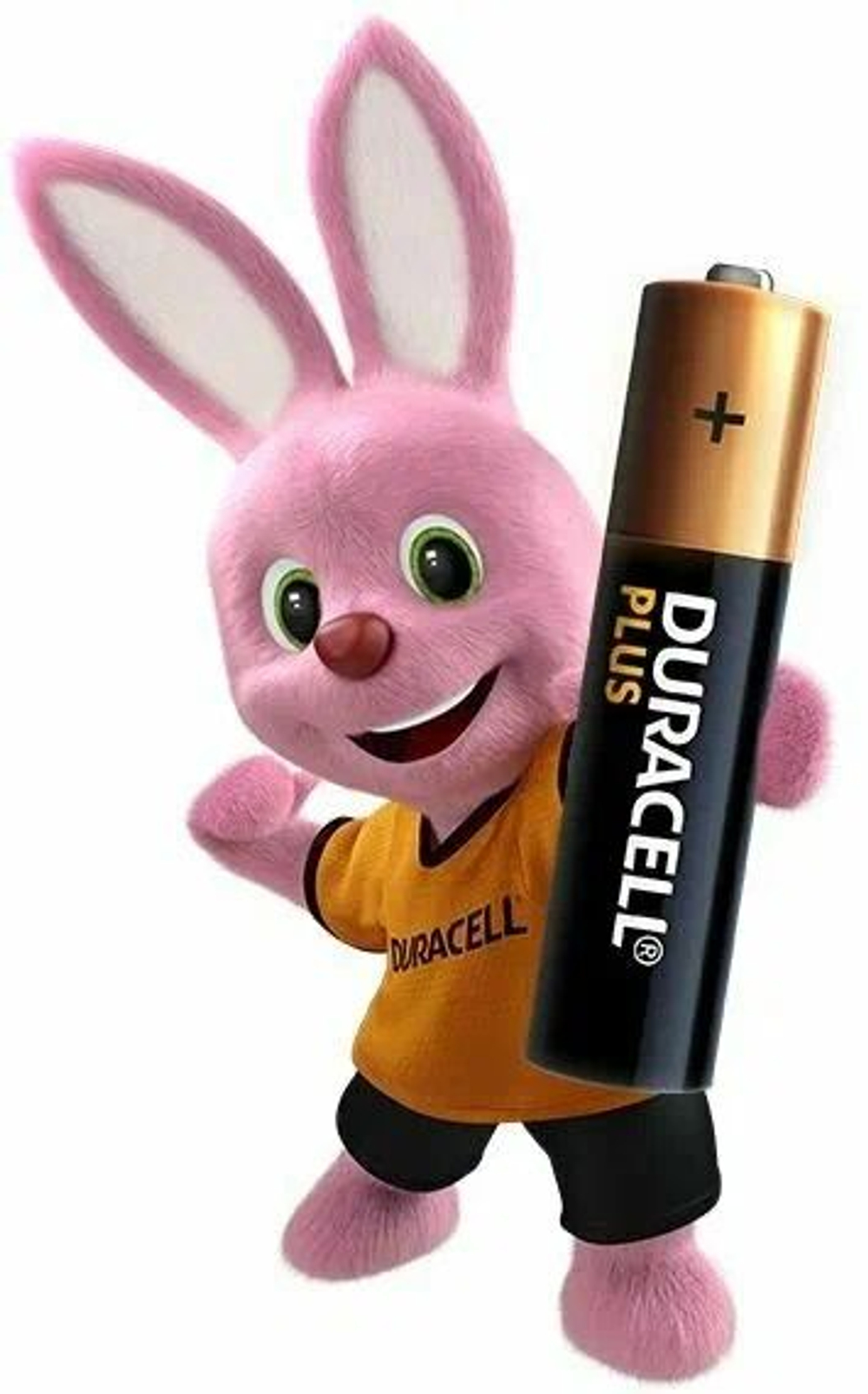 Мизинчиковые Батарейки Duracell AAA 2шт.