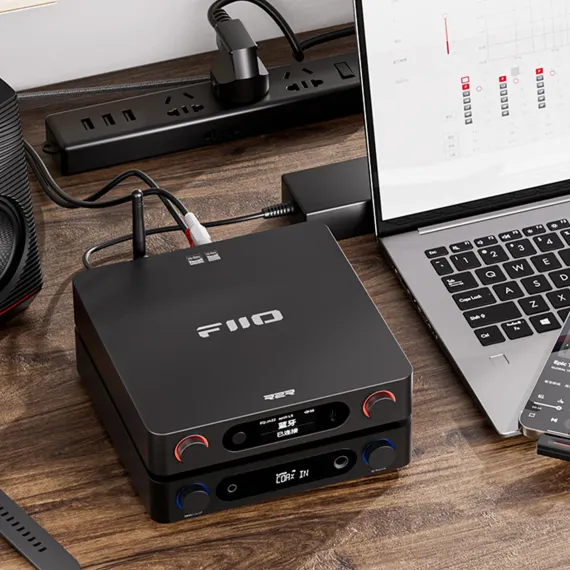 FiiO BR15 R2R Black