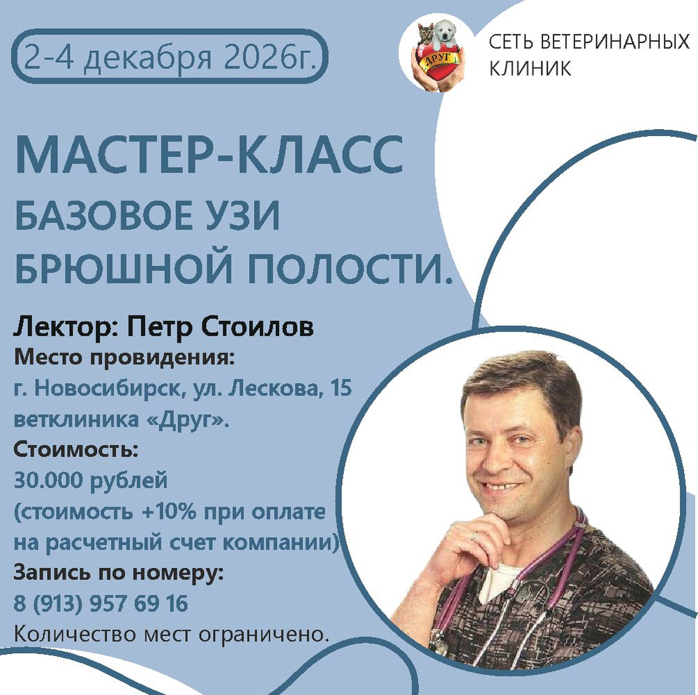 Мастер-класс "Узи брюшной полости" базовый уровень лектор Петр Стоилов